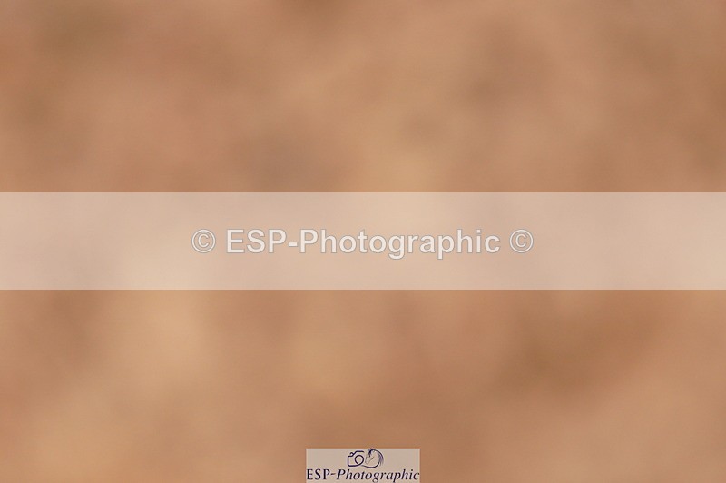 240628A-184104-00825 - Cls 3 1m Open