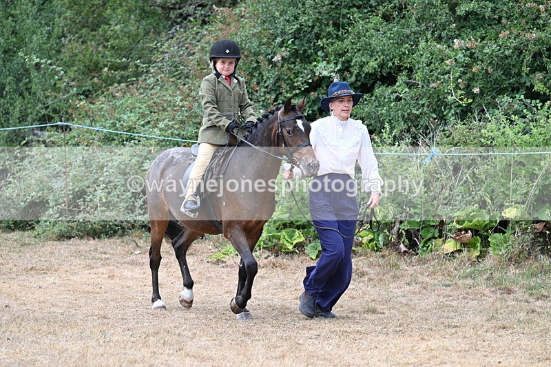 WJ7_0386 - Class 6 Ridden Mountain and Moorland