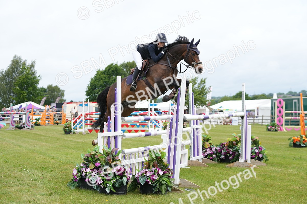 SBM_03052 - Class 201 - British Horse Feeds Speedi Beet Horse of the Year Show Grade  C