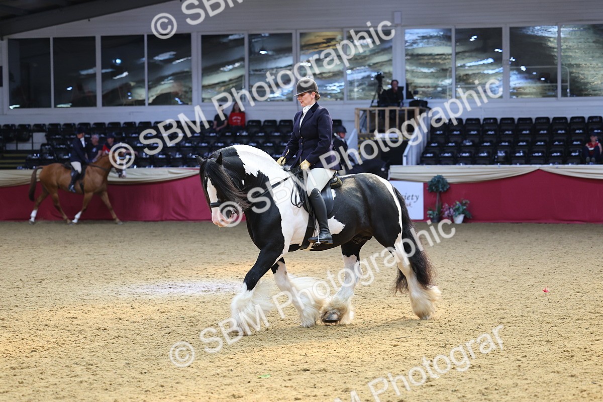 SBM_24077 - Class 905 - Supreme Final - Ridden Veteran