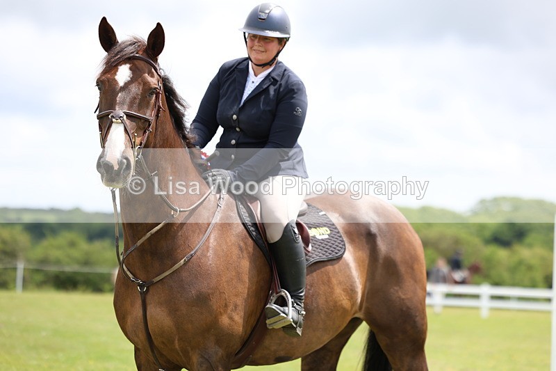 3E7A7164 - Class 12: Senior Foxhunter/1.20 open