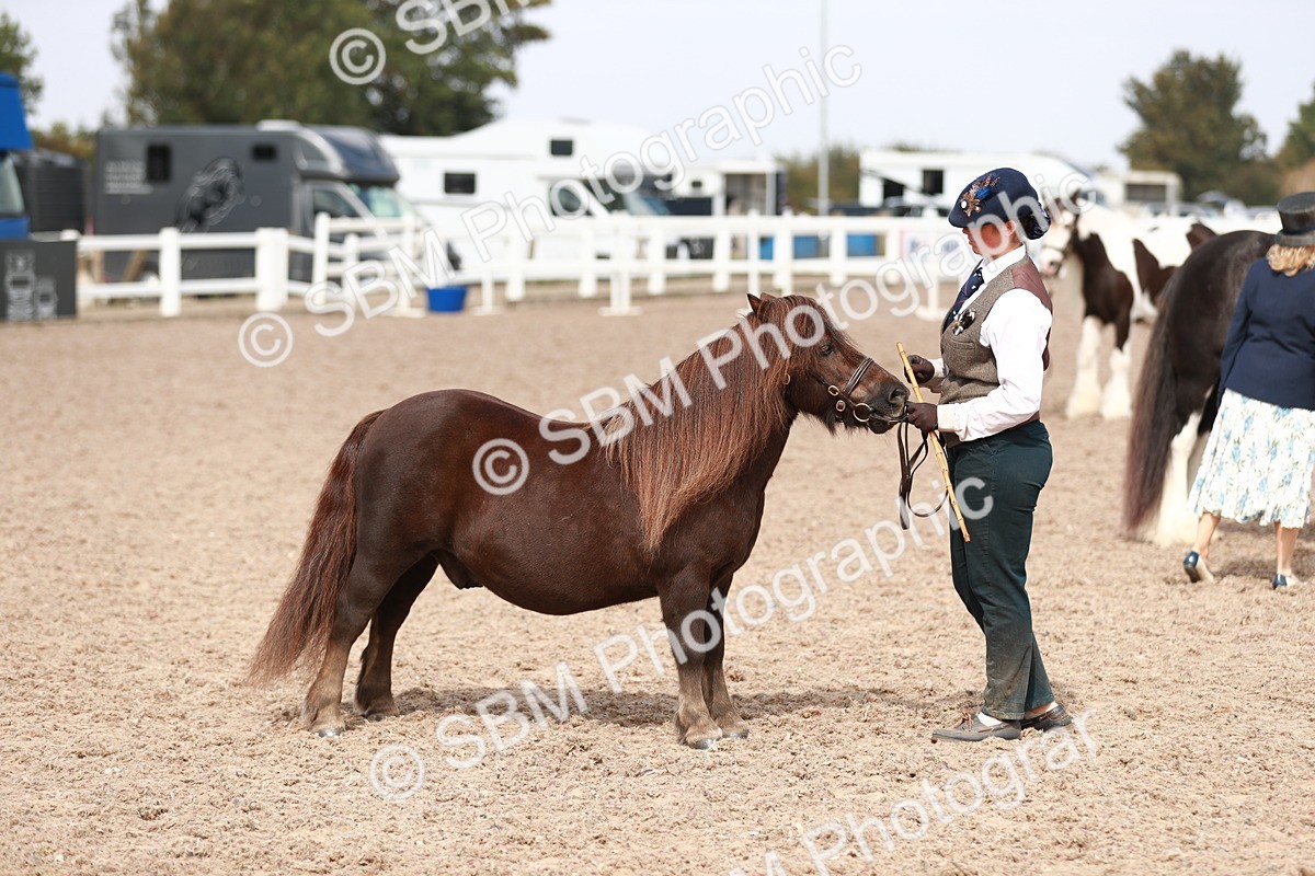 SBM_13924 - Class 209 IH Veteran Pony