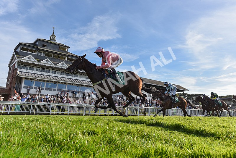 160924-Race 7-Style Of Life-6904 - Race 7