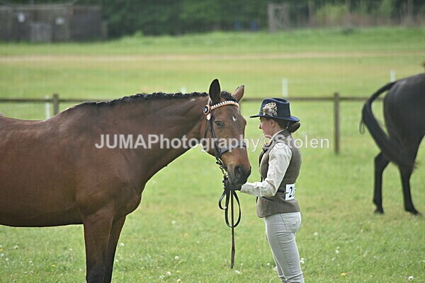 DSC_8247 - Rings 1 & 2