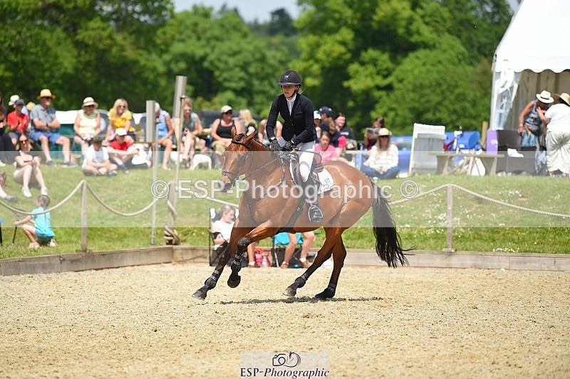 230528-124126-15811 - 377-GOLD_NUGGET-Jillian_Giessen-SUNTrotUp+SJ