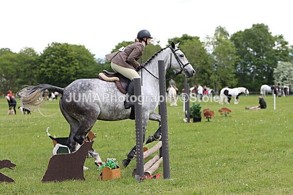 IMG_2748 - Working Hunter