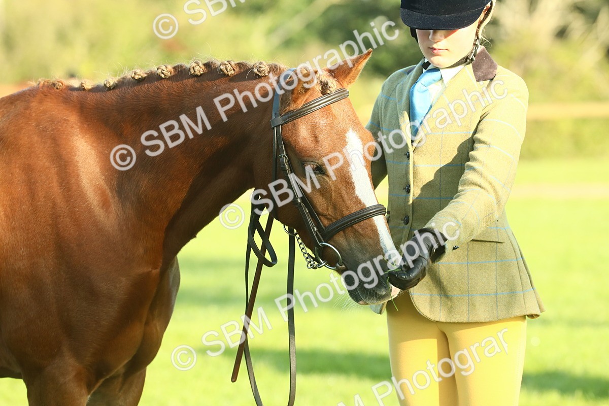 SBM_57490 - S37 - Starters In Hand Showing