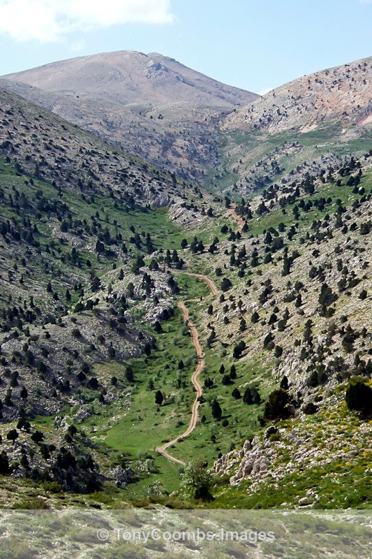 The Road through the Akseki Valley - Turkey