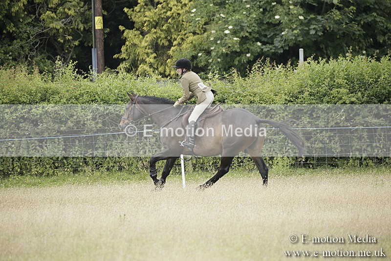 B230619-0871 - Bourne Valley Riding Club Summer Show 23/06/19