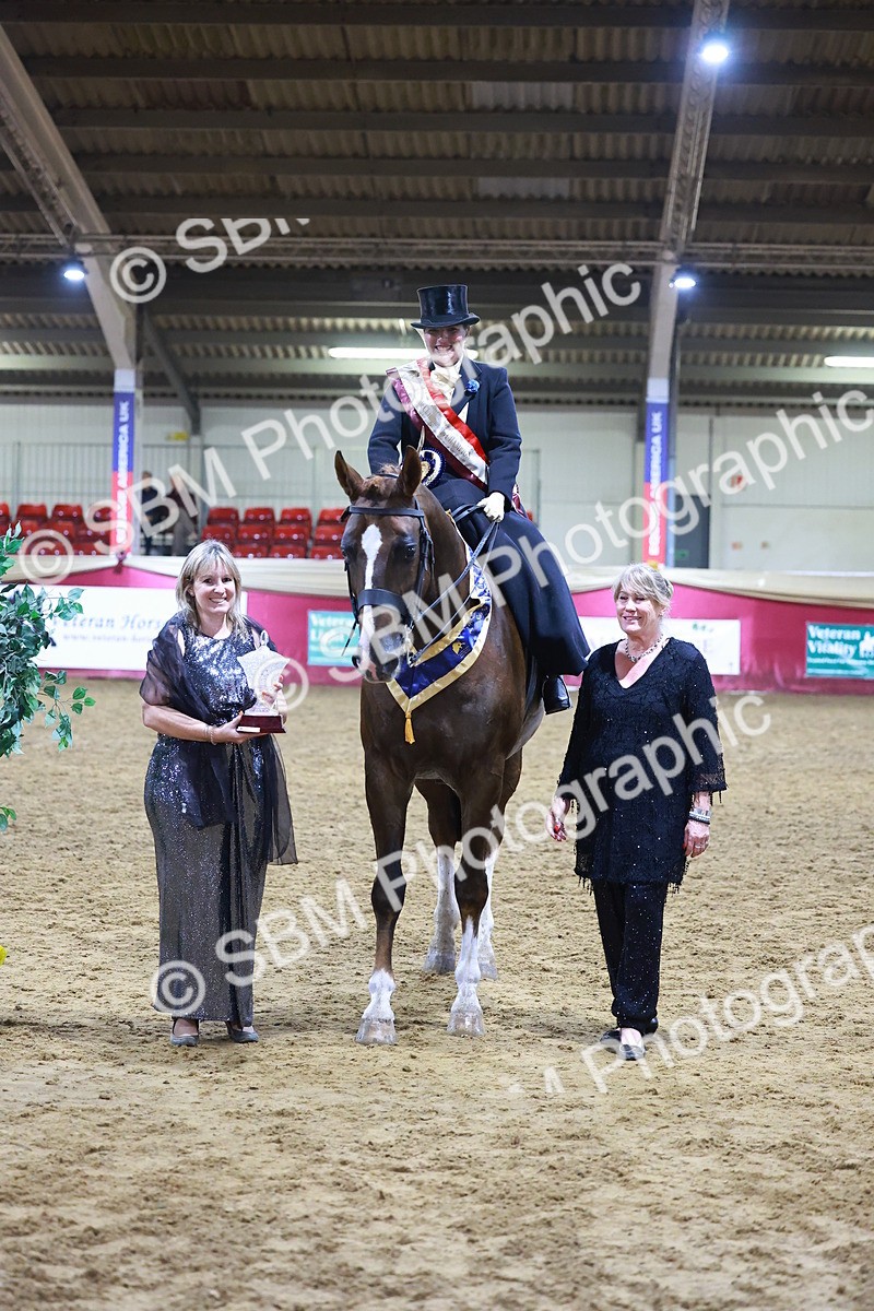 SBM_15039 - Class N - Side Saddle Champ
