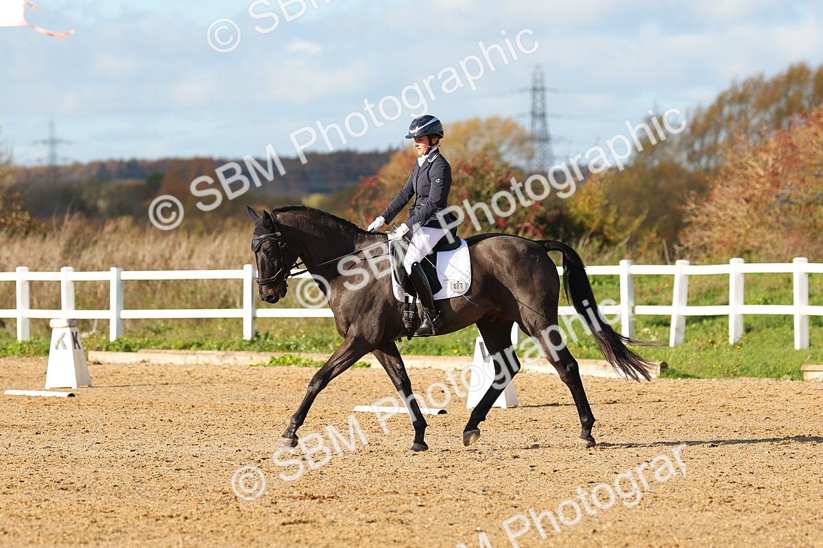 SBM_001394 - Medium 3