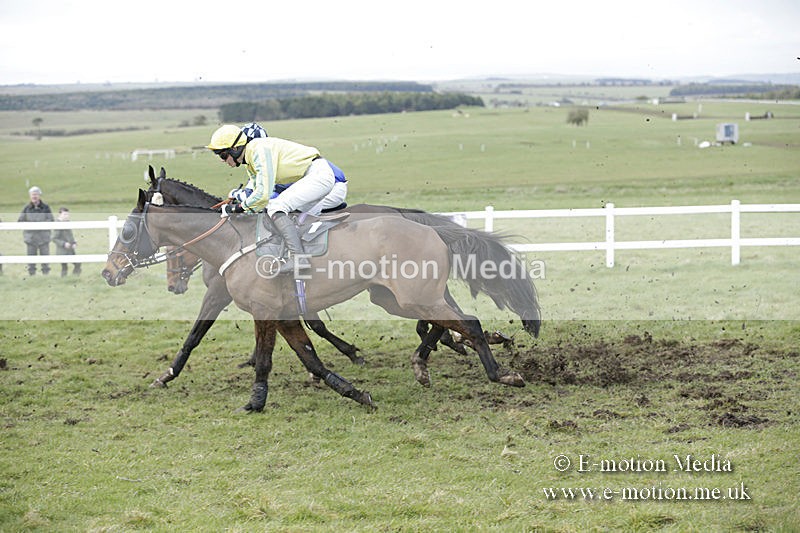 PtP 150320 0686 - New Forest Point-to-Point Larkhill 15/03/20