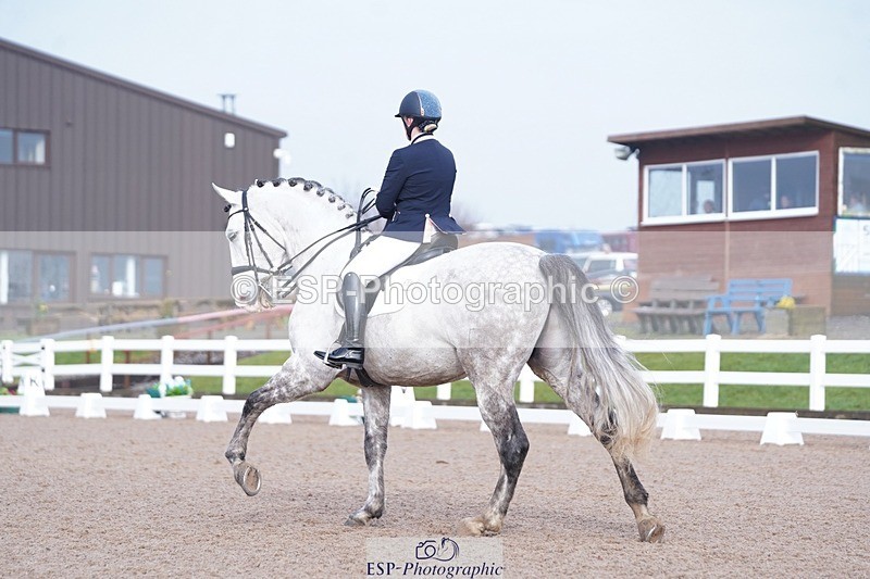 250215-143844-04327 - 105-Charlotte.Crockerwestlake-Carinoso.BOT.II