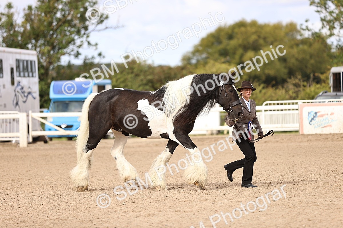SBM_09334 - Class 404 - IH Traditional - Native Cob