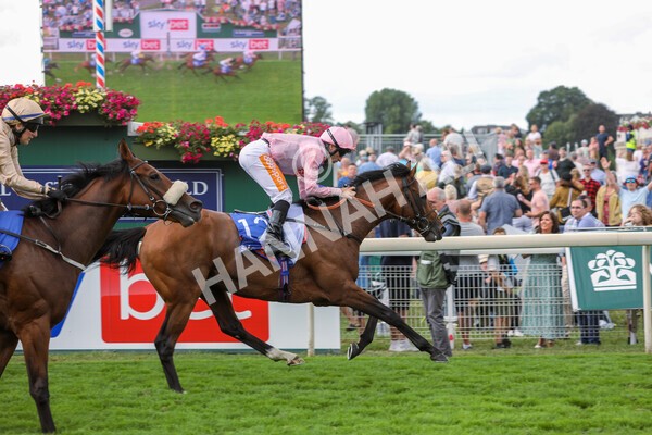 yr19082022r1-27 - Race 1 1.50pm Sky Bet Stakes