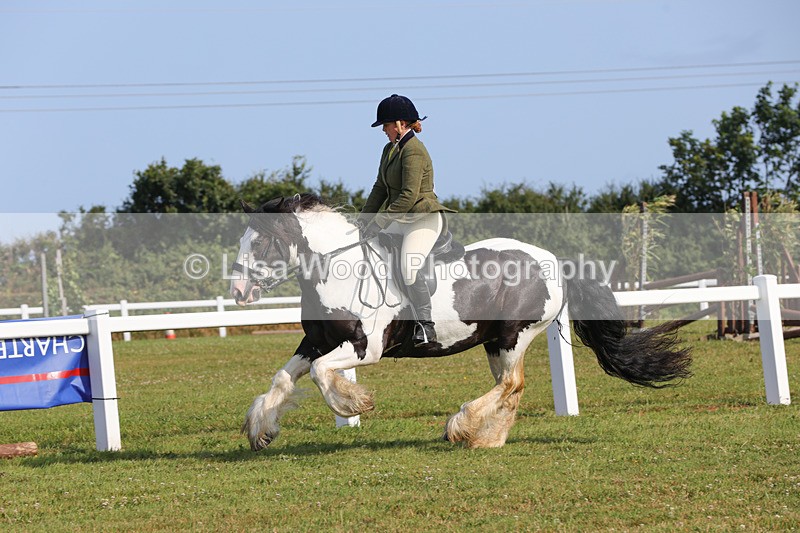 1X9A3358 - Class 28: Ridden Native/Trad Coloured Pony