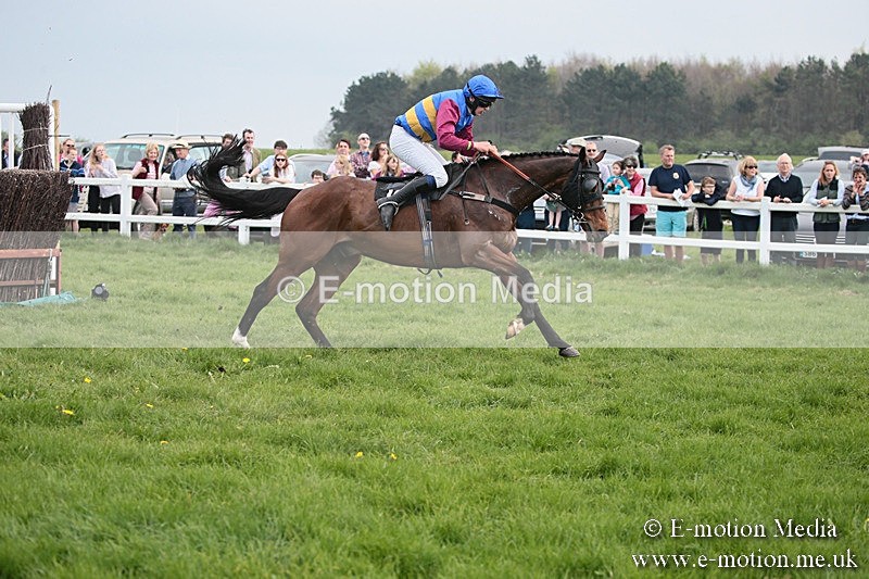 PtP 210418 384 - South & West Wilts Point-to-Point Larkhill 21/04/18