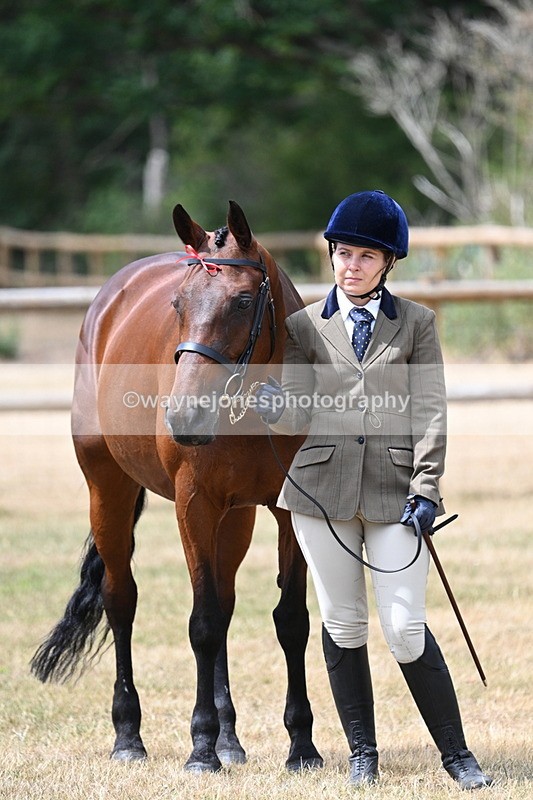 WJ7_1879 - Class 4a Prettiest Mare 14.2hh and over hand