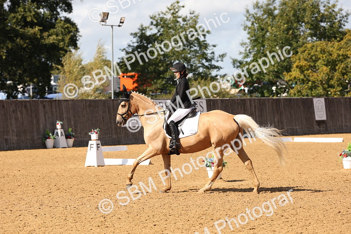 SBM_47401 - D12 - Small Tour Championship prelim 2