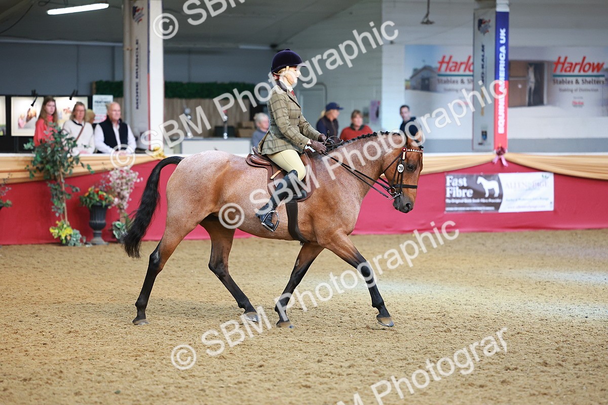 SBM_09525 - Class 102 - HOYS Veteran Qualifier - Ridden Veteran