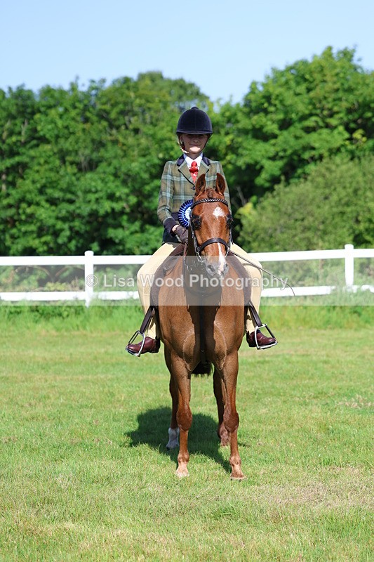 3E7A6042 - Class 27: Novice Working Hunter Pony