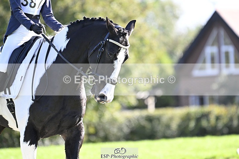 241025-142922-09665 - 387-Kelly.Knockaert-PIPER.II