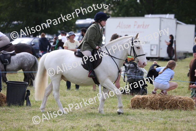 20260614-0792 - Class 20 - Beginners Working Hunter Pony