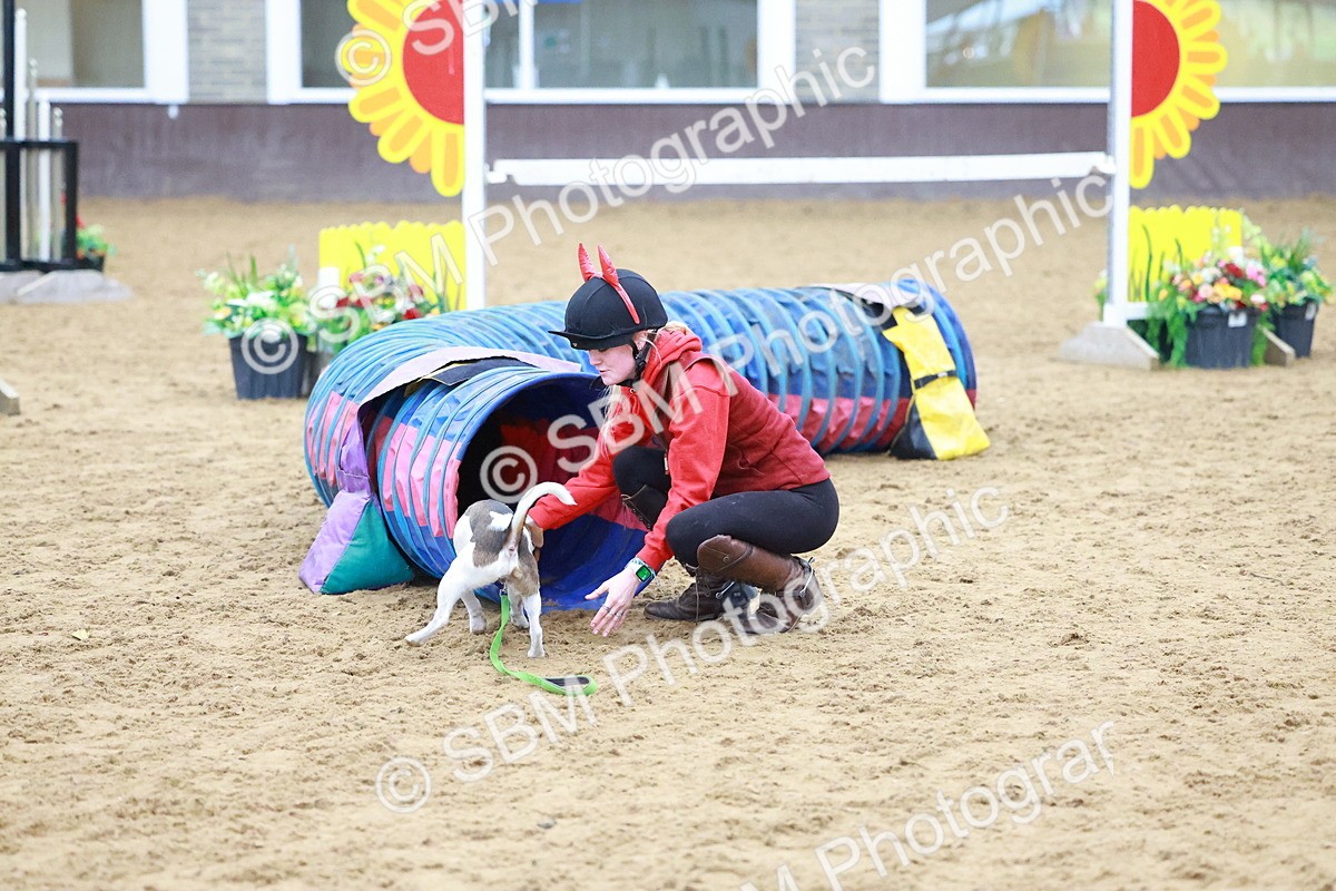 SBM_002115 - Class 3 - Horse & Hound (60cm)