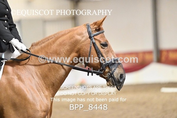 BPP_8448 - INTRO 1