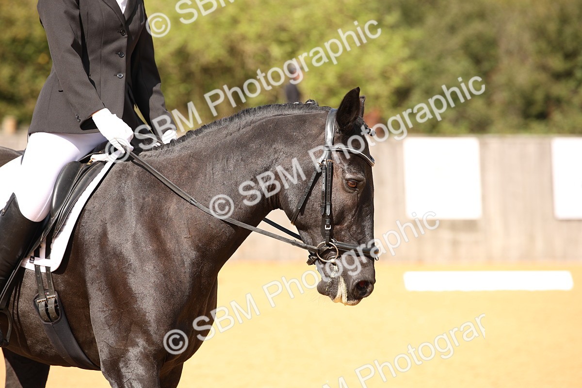 SBM_04316 - D2 Small Tour Championship Intro C