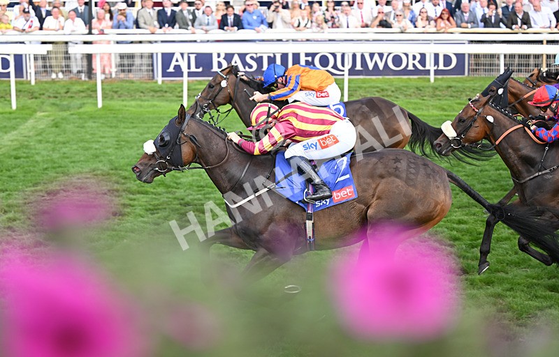 220826-203 Sondad - Race 5 16.10pm Sky Bet Constantine Handicap