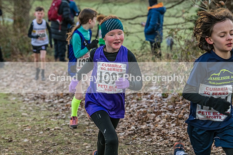 Cumbria XC-56 - Cumbria Cross Country Championships (Junior & Senior Races) Saturday 3rd January 2026