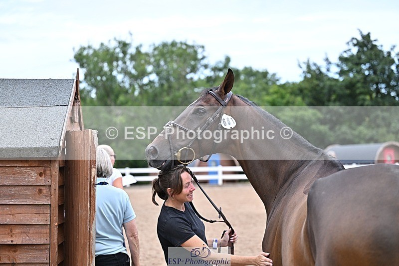 250716-140813-00720 - Trot Up 1.30 to 2.30