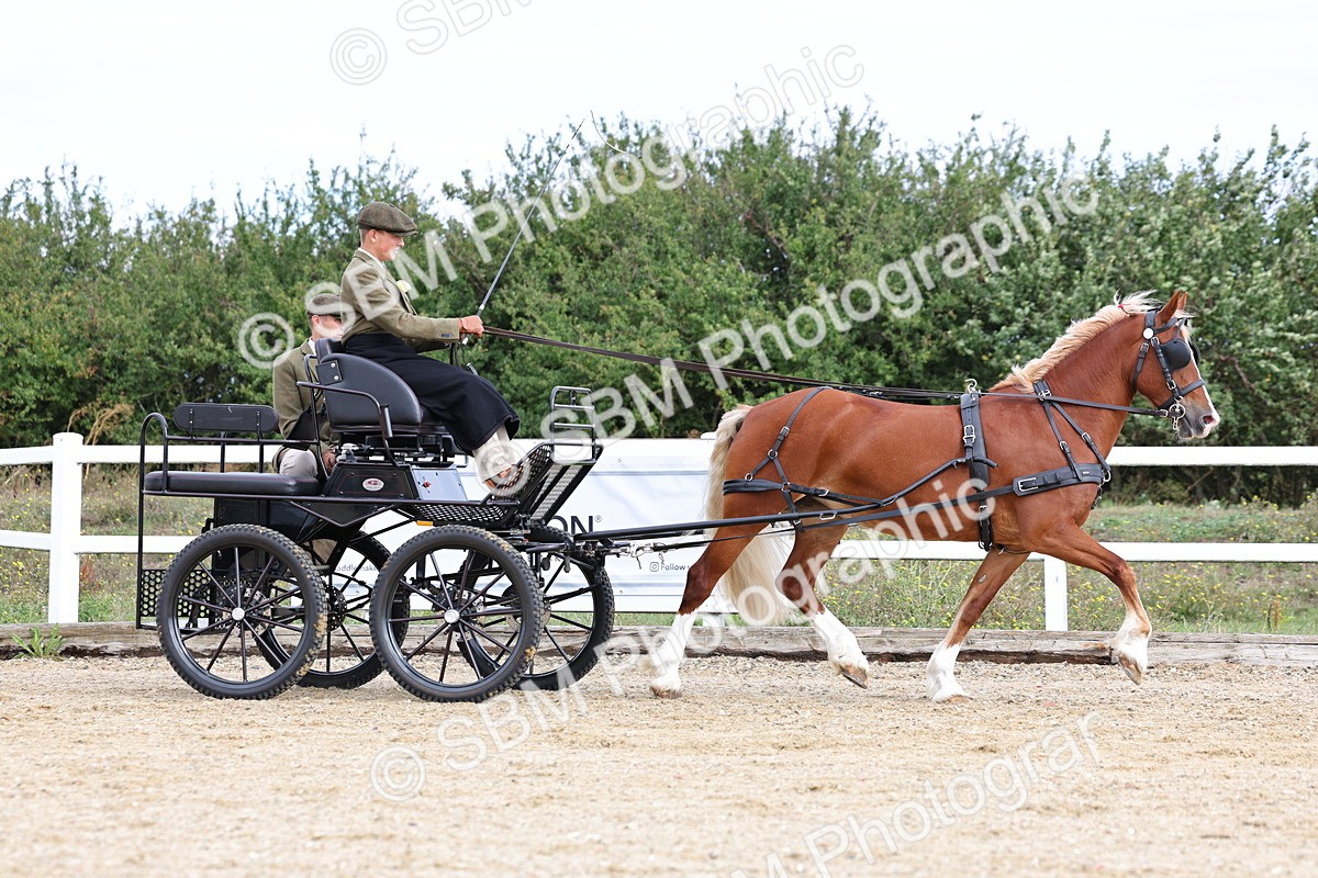 SBM_000731 - Class 6 - Exercise Vehicle 13.2 and over