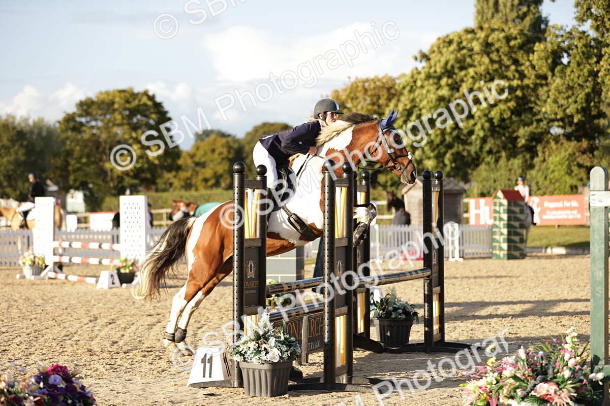 SBM_30112 - j52 - Open 80cm