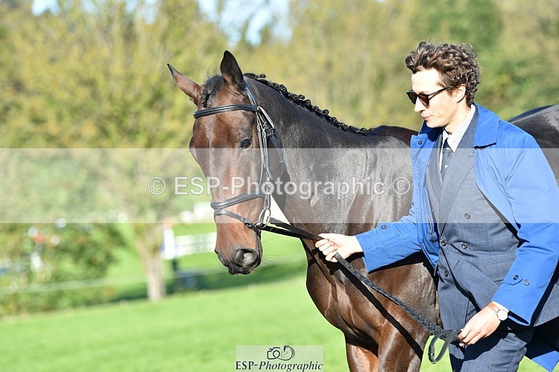 231022-102608-22478 - 462-SILVER.BAY-Marshall.David.Johnson-TrotUp+SJ