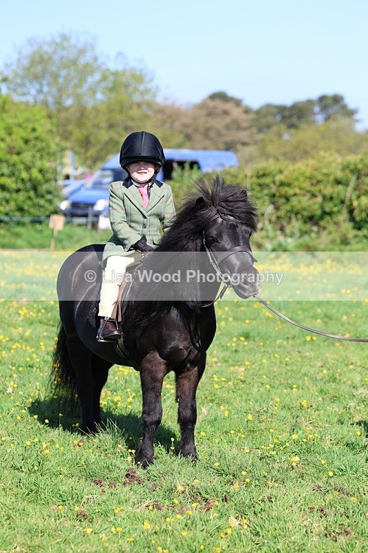 3E7A8993 - Class 2: Lead rein