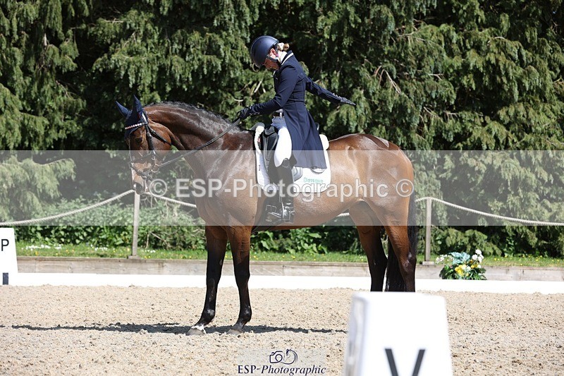 230526-151642-06668 - 379-QUIZICAL_Z-Alice_Hallows-WEDTrotUp+DR