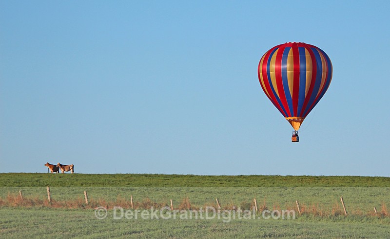 Atlantic International Balloon Festival Sussex New Brunswick Canada 6