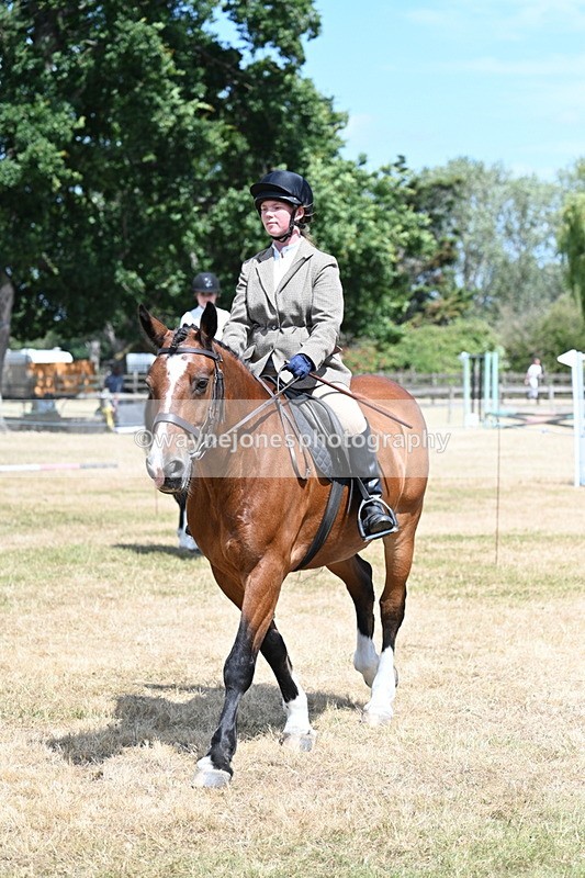 WJ7_3272 - Class 8 Ridden Veterans