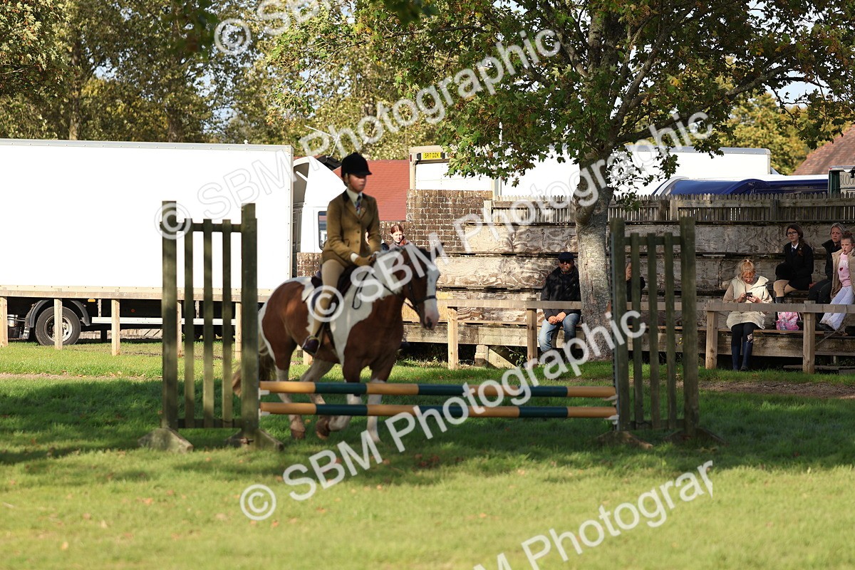 SBM_52504 - S13 - Pony Club Pony