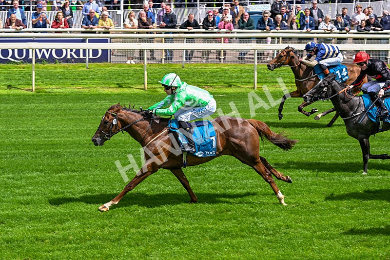 120626-Race 2-Everatease-6849 - Race 2 14.25pm Constant Security Keeping York Racegoers Safe Rous Selling Stakes