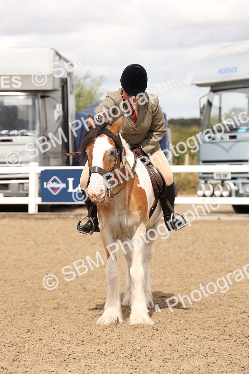 SBM_05232 - Class 56b -  Style & Performance - 50cm (20+)