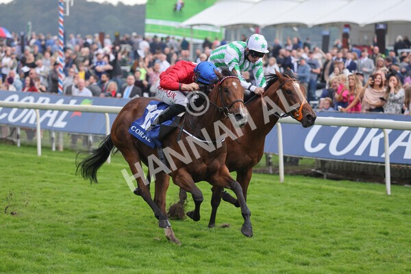 yr09102021r2-15 - Race 2 2.02pm Coral Beaten-By-A-Length Free Bet Rockingham Stakes