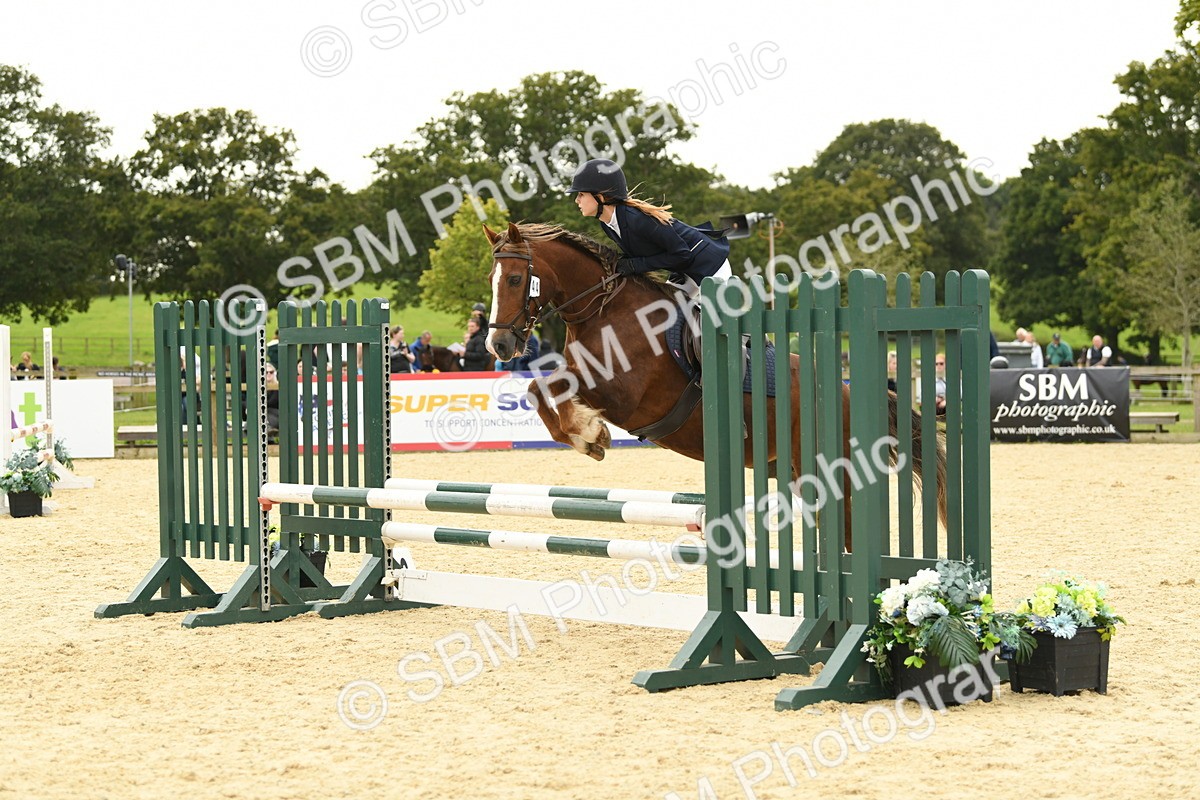 SBM_73023 - J16 - Junior Pony 75cm Championship