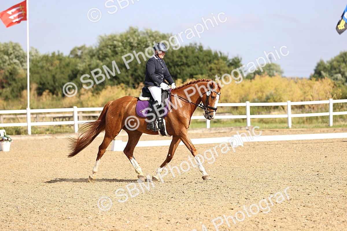 SBM_008595