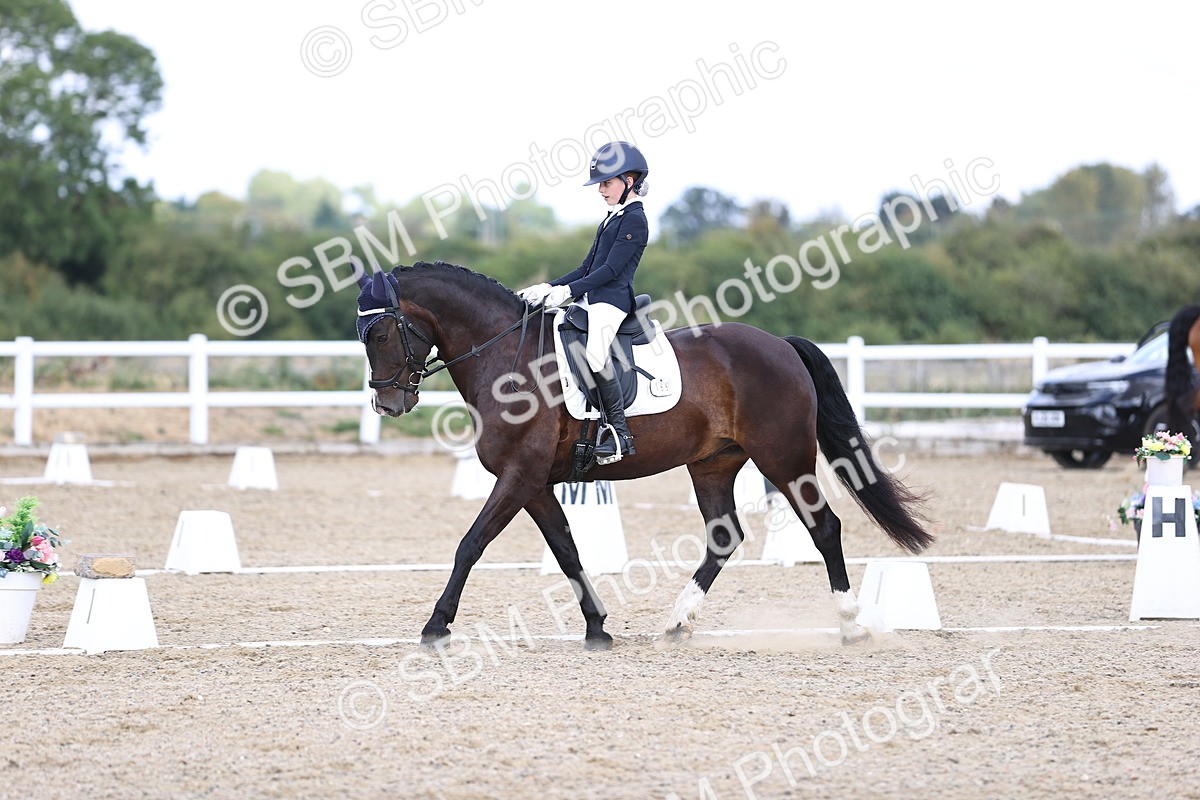 SBM_015309 - Class 5 - E5 Bronze 14.42.15.54