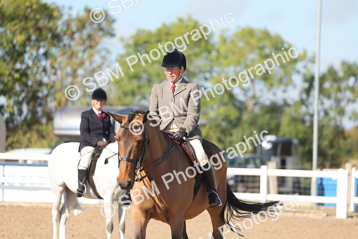 SBM_22329 - Class 803 - Ridden Combination 65+