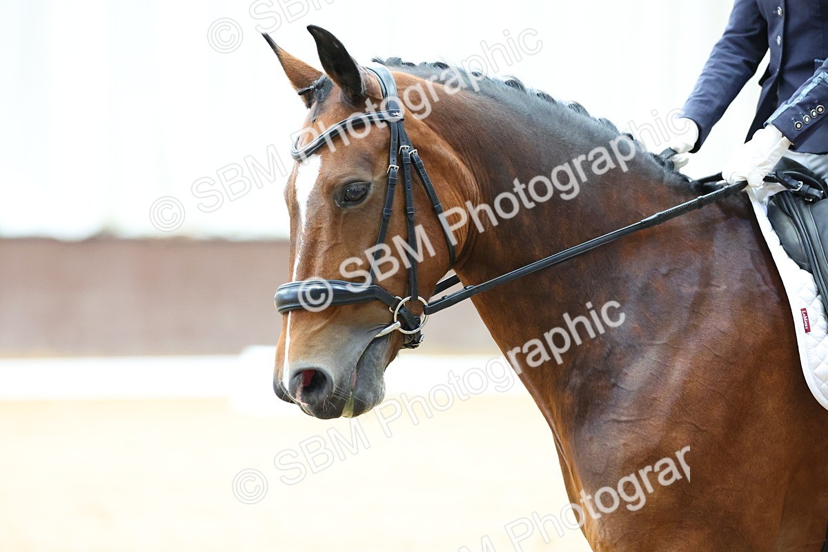 SBM_016028 - Class 15 - Novice FSM - 9.50 - 11.10