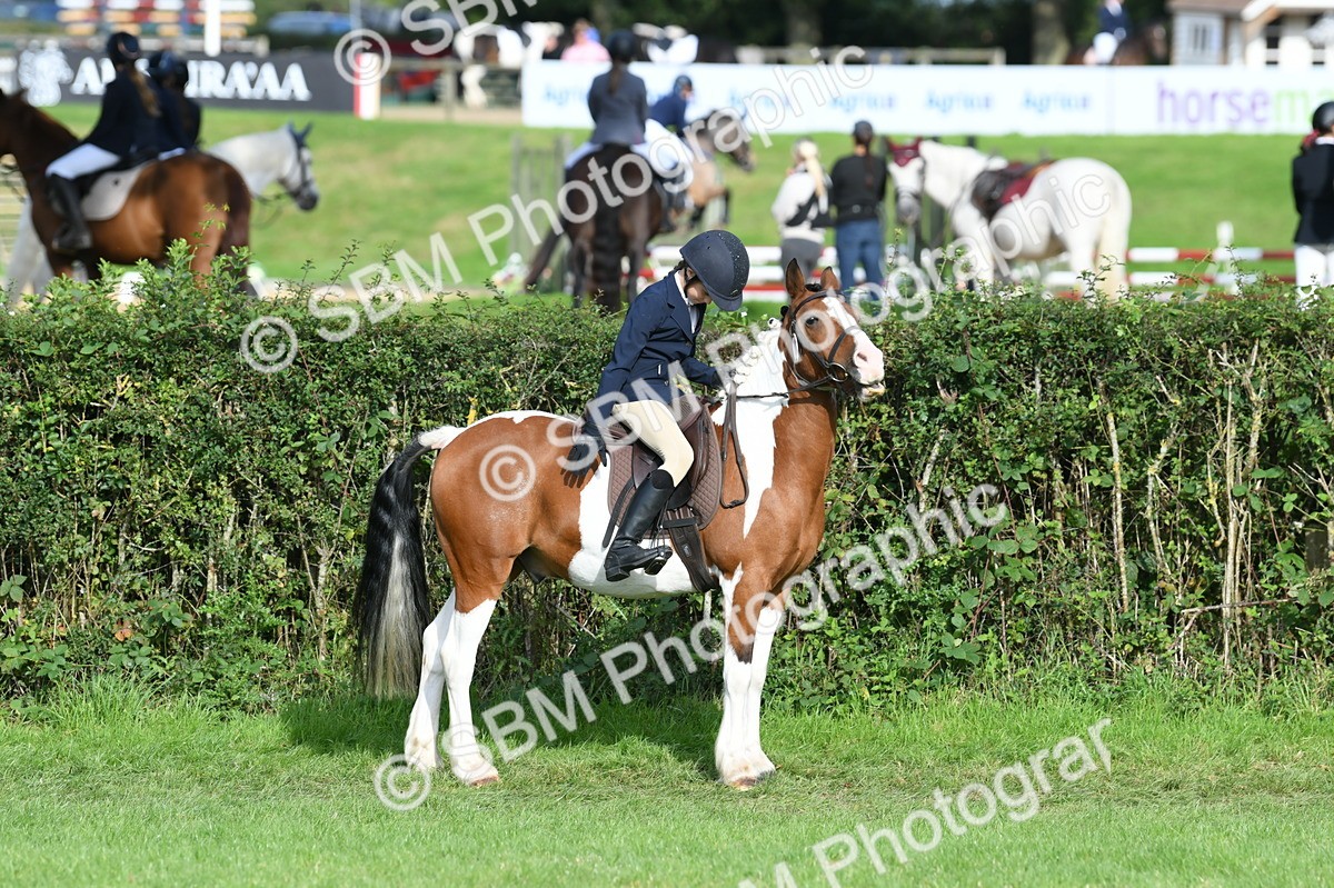 SBM_51917 - S21 - Novice & Newcomers 1st Ridden Pony